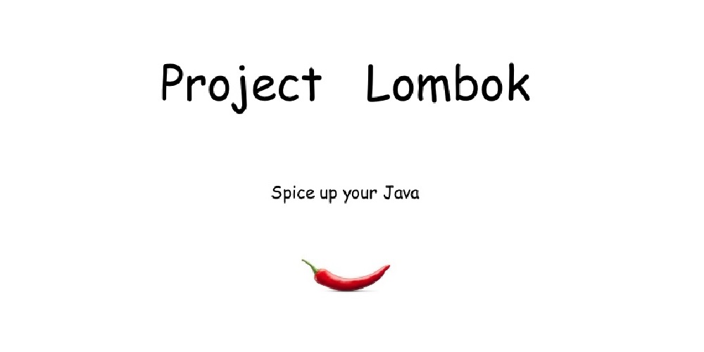 project-lombok